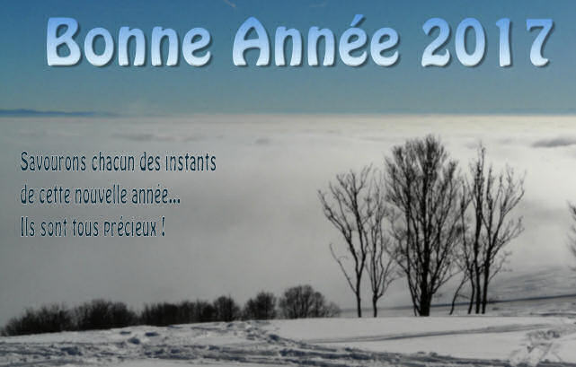 Bonne Année 2017