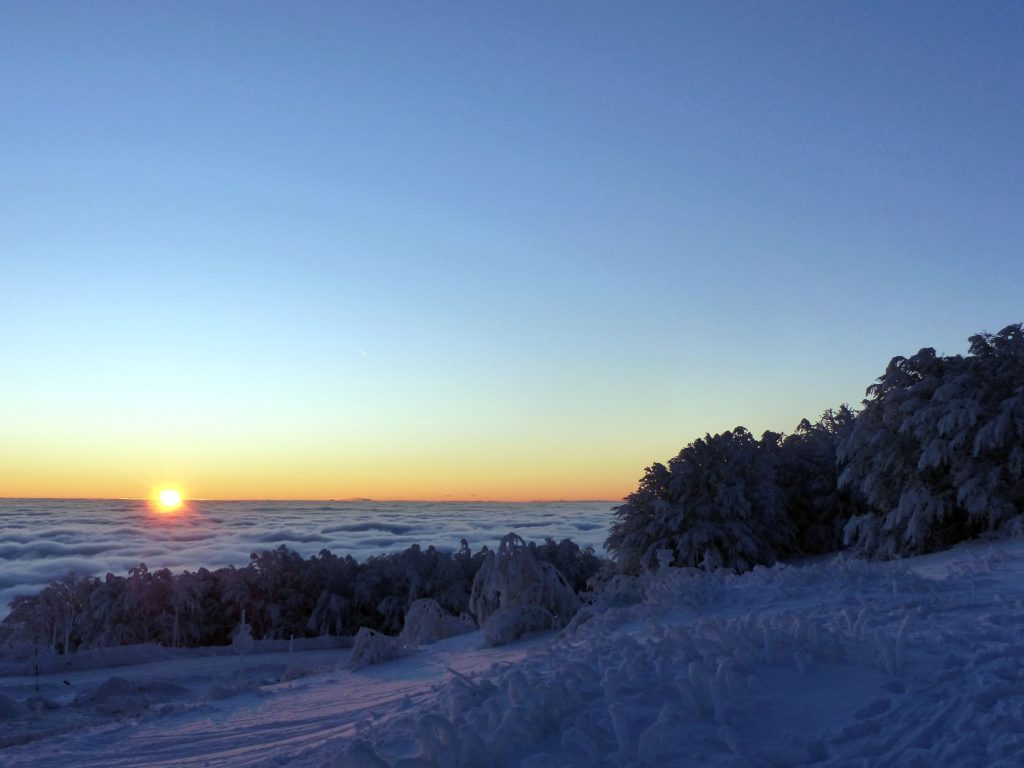 Premières neiges