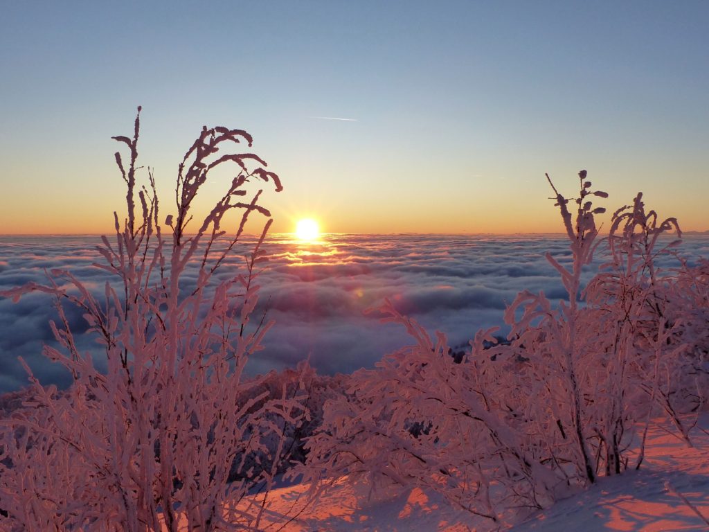 Premières neiges