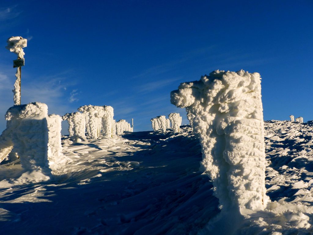 Premières neiges