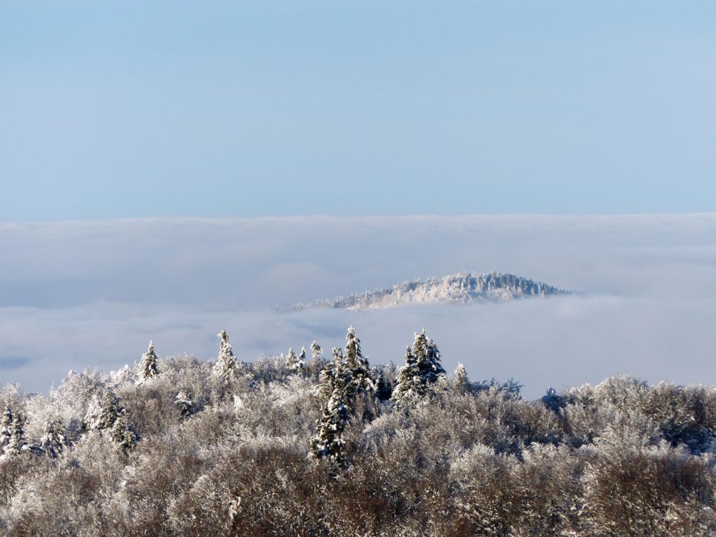 Premières neiges