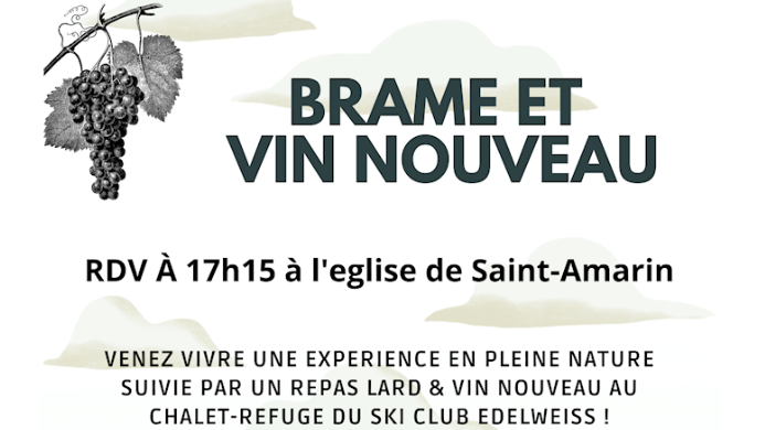 Brame du cerf et vin nouveau