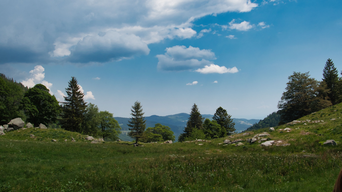 Paysage Hautes-Vosges d'Alsace